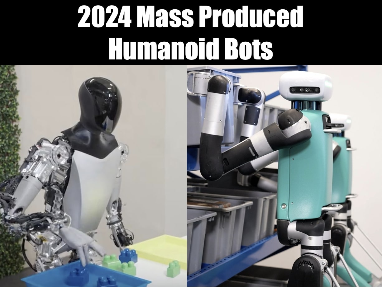The Dawn of Humanoid Robot 2024 and Beyond