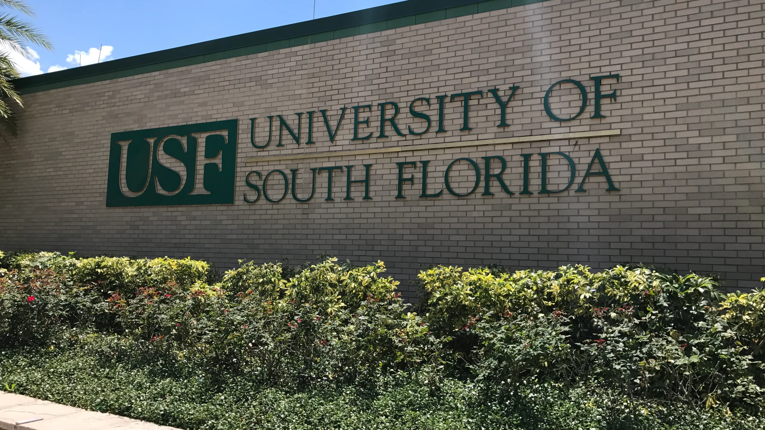 USF Embarks on Creating Florida's First AI and Cybersecurity College