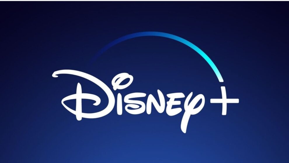 Paid Sharing on Disney+