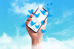 Why Twitter Users Are Flocking to Bluesky